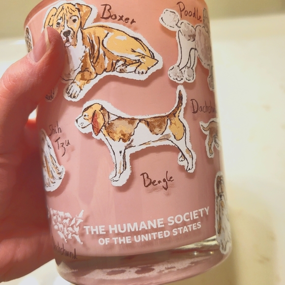 The Humane Society Pink Candle  Dogs Doggie New - Picture 5 of 6